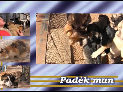 Как дела в приюте «Padėk man»? - В Висагинасе