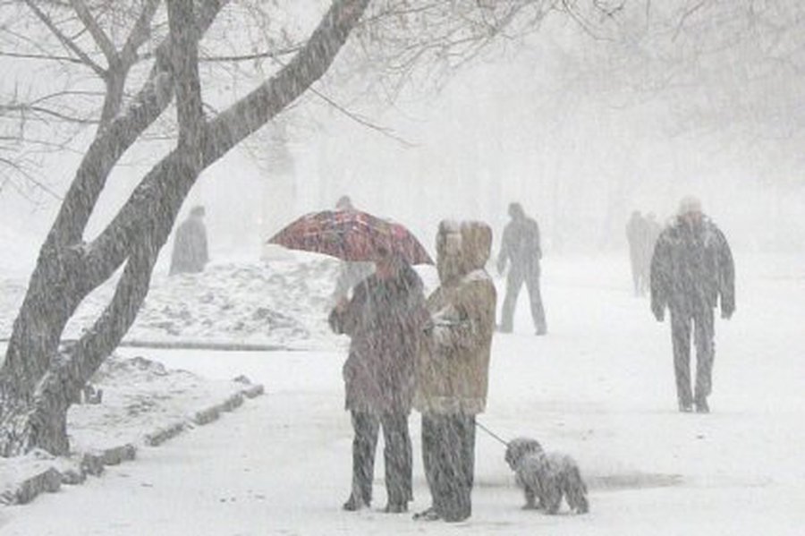 В Литве ожидается метель и 14 градусов мороза - Литва и страны Балтии