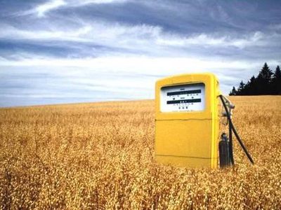 Из Мексики стартовал первый трансатлантический рейс с применением биотоплива - Энергетика