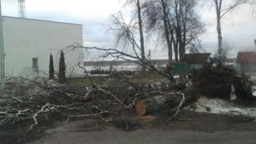 Vėjas kelininkams pridarė dešimtis tūkstančių litų nuostolių                