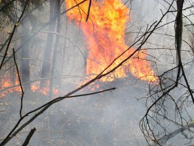Пожарные предупреждают: не жги прошлогоднюю траву!                                 - В Висагинасе