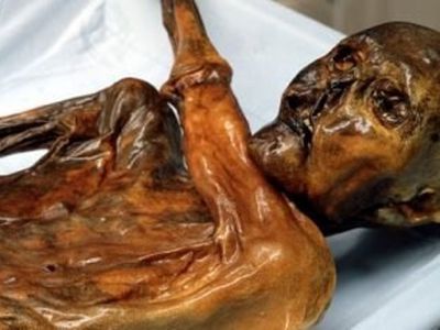 Человечеству угрожают оттаявшие мертвецы - Наука и здоровье