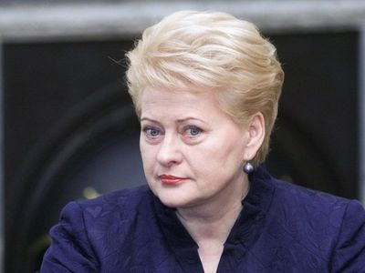 Rusijos veiksmai išvedė D. Grybauskaitę iš kantrybės - Lietuva ir Baltijos šalys