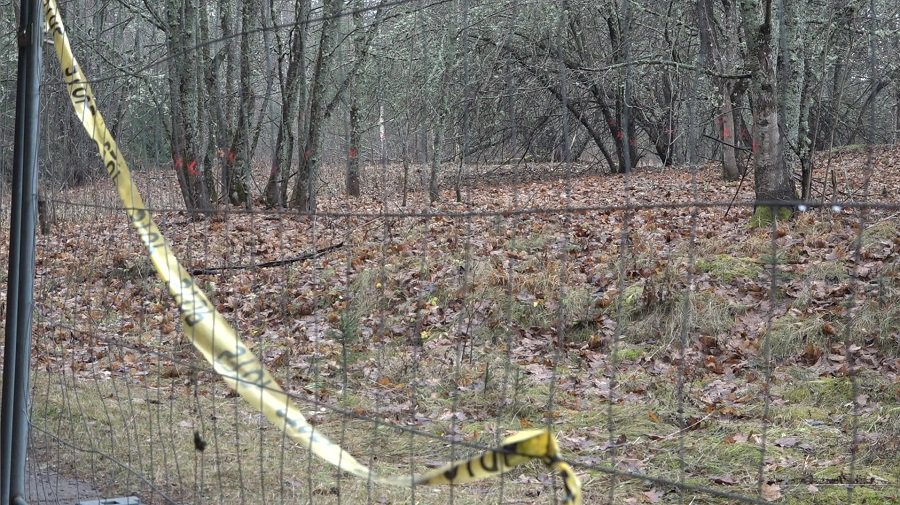 Laida "Savaitės kontūrai" 2024 12 03 (video) - Visagine