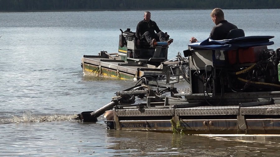 Начались работы по очистке побережья озера от зарослей (видео) - В Висагинасе