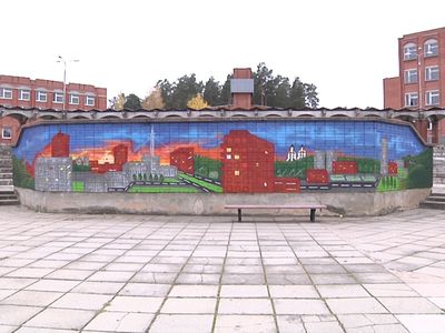 Советы сообществ отчитались о своей деятельности - В Висагинасе