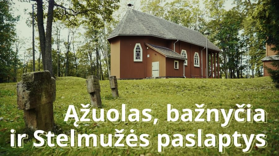 Stelmužė: šimtmečių ąžuolo ir dvaro istorija (filmas) - Įdomu žinoti