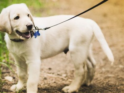 Прогулка - В Висагинасе