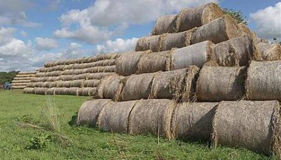 Energetikos ministerija didina biokuro rinkos efektyvumą - Energetika