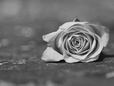 Полиция расследует обстоятельства трагической смерти молодой висагинки - Происшествия и криминал