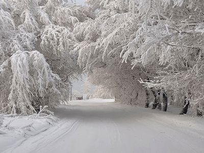 В Литву снова вернется зима - Литва и страны Балтии