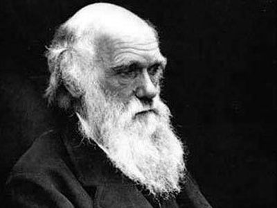 Редкий экземпляр «Происхождения видов» Дарвина нашелся на полке в туалете  - Культурные и спортивные мероприятия