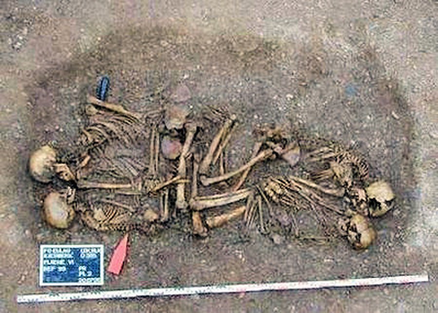 Семьи существовали еще 4 600 лет назад - Наука и здоровье