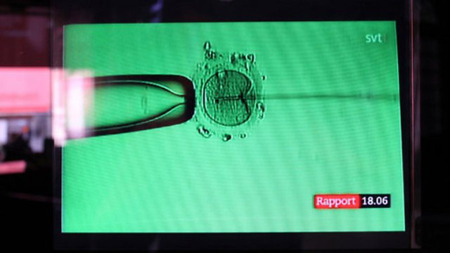 Латвия легализует импорт спермы - Литва и страны Балтии