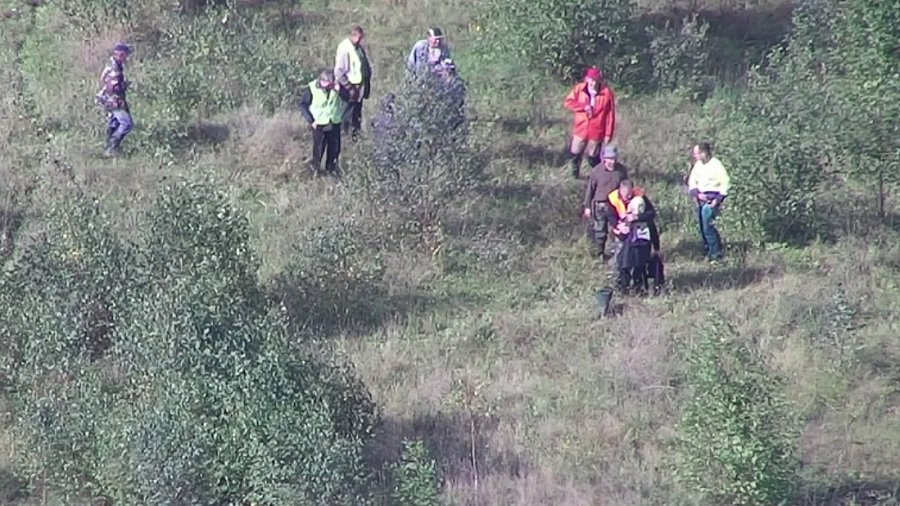 Пенсионерку, которая отправилась за грибами и заблудилась, нашли с помощью дрона - Происшествия и криминал