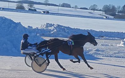 Рысистые конные бега «Сартай 2026» (видео) - Соседи