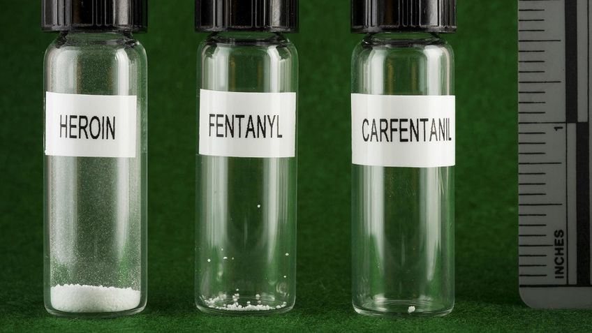 JAV pasienyje konfiskuotas rekordinis kiekis itin stipraus narkotiko fentanilio