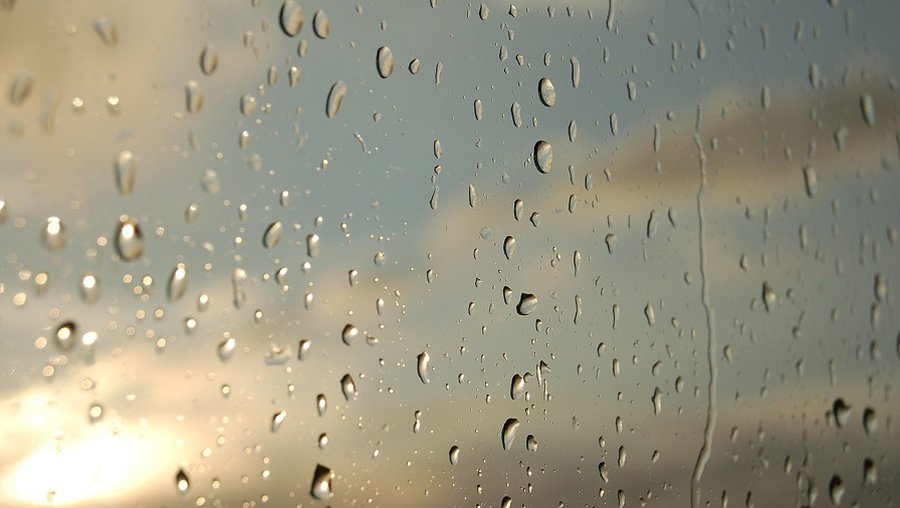 Наступила середина лета, но особого тепла не прогнозируют - Литва и страны Балтии