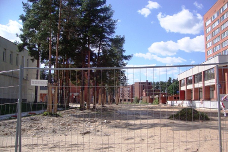 Реконструкция аллеи Седулинос, или «Чип&Дейл спешат на помощь»                                                                                         - В Висагинасе