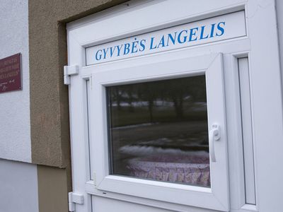 Усыновлен ребенок, оставленный в "Окошке жизни" и еще 92 оставшихся без опеки ребенка - Литва и страны Балтии