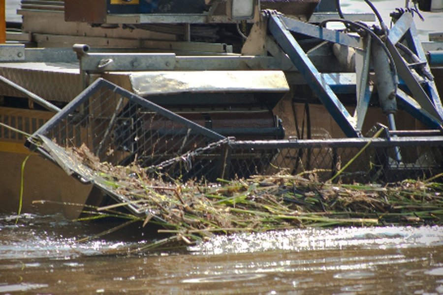 Пляжный сезон в Висагинасе планируется открыть на следующей неделе - В Висагинасе