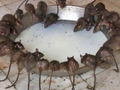 Члены горсовета Алитуса, которые держали деньги в Snorаs, повысили себе зарплаты
                                                                     - Литва и страны Балтии