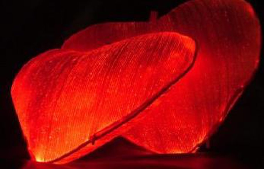 Что привлекает мужчин - Наука и здоровье