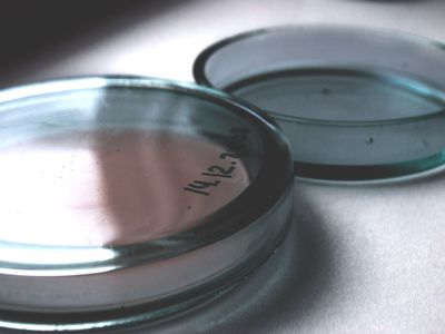 Новая эволюционная гипотеза перевернула представления об этом процессе                                                                                 - Наука и здоровье