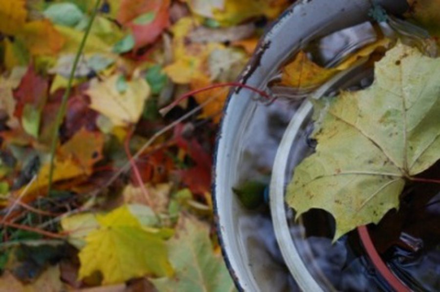 Numatomos šiltos dienos, bet rudeniškos naktys - Lietuva ir Baltijos šalys