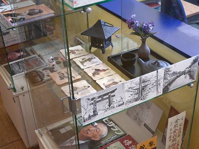 Из страны восходящего солнца (видео) - В Висагинасе