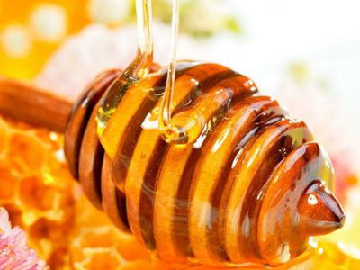 Китайская подделка: мед, лишенный пыльцы - Наука и здоровье