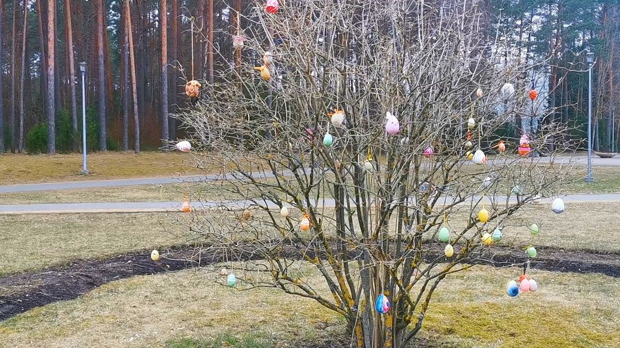 Laida "Savaitės kontūrai" 2025 04 16 (video) - Visagine