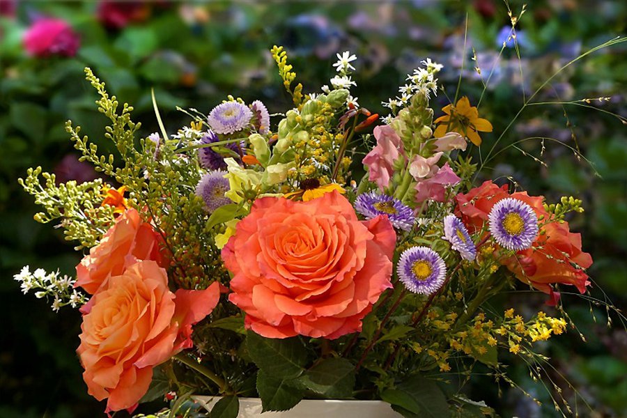 Иосифа Егоровича Александровича поздравляем с 77-летием! - Поздравления