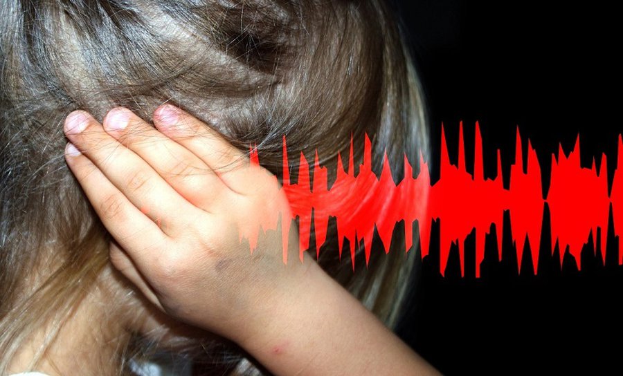 Предлагается увеличить штрафы за крики, свист, громкое пение или игру - Литва и страны Балтии