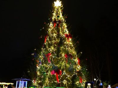 Как прошёл праздник зажжения рождественской ёлки в Висагинасе (видео) - В Висагинасе