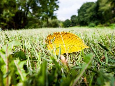 Солнечная осень закончится завтра - Литва и страны Балтии