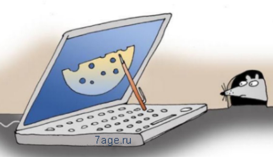 Висагинский комиссариат полиции предупреждает о мошенничестве в Интернете - Происшествия и криминал