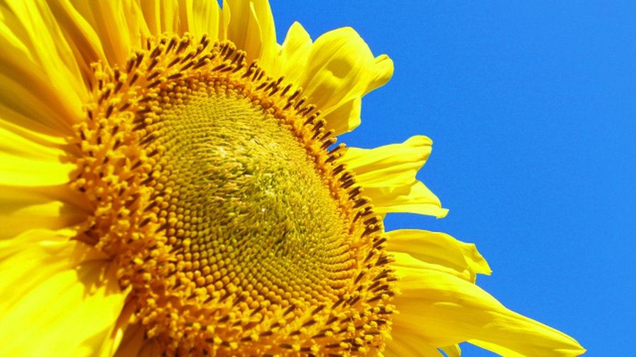 В выходные будет тепло и влажно, с понедельника похолодает - Литва и страны Балтии