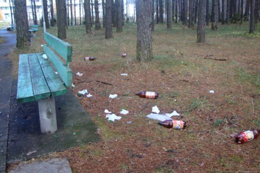 «Культурно» отдохнули...                                                                                 - В Висагинасе