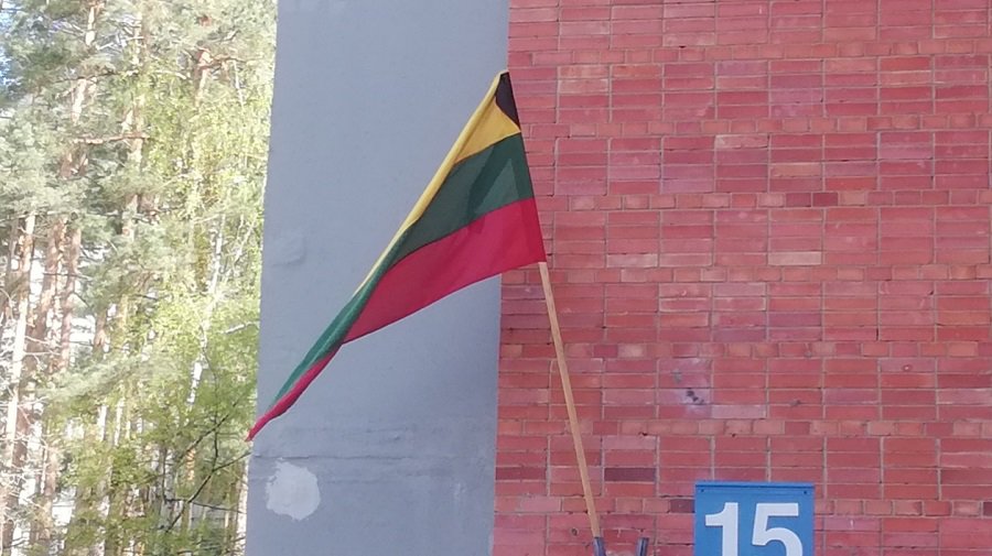 В Литве объявлен траур: что нужно знать и как себя вести, какие штрафы? - Литва и страны Балтии