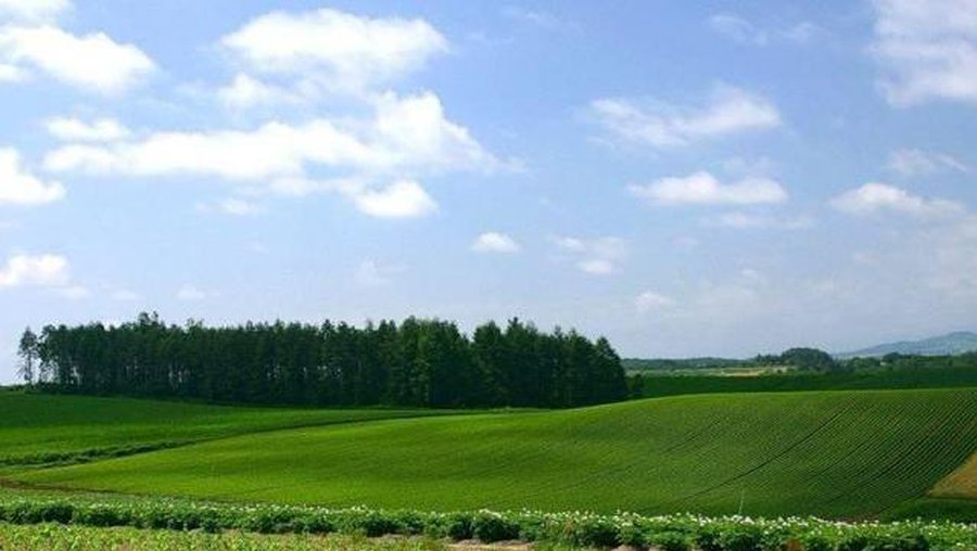 Либералы оспорят решение провести в Литве референдум о продлении запрета продажи земли иностранцам
 - Литва и страны Балтии