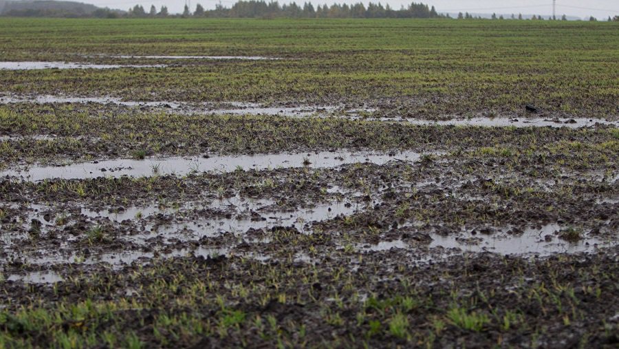 Литовские фермеры получат 9 млн. евро финансовой помощи ЕС - Литва и страны Балтии