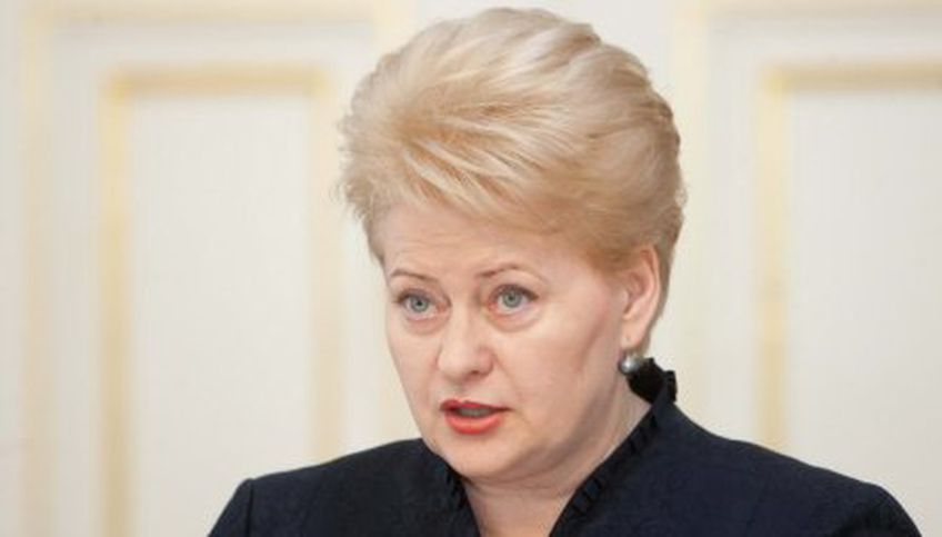 Президент Литвы: решение по проекту новой АЭС должны принять политики и жители страны
 

