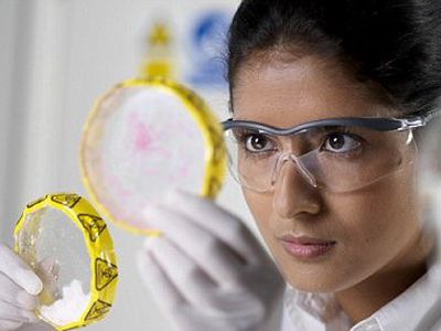 Арабские ученые придумали лекарство от рака из молока и мочи верблюда - Наука и здоровье