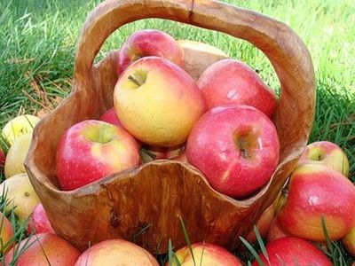 Яблоки опасны для больного желудка - Наука и здоровье
