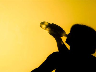 В Литве многие чиновники злоупотребляют алкоголем - Литва и страны Балтии