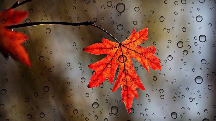 Погода в Литве: сухой период завершился - Литва и страны Балтии