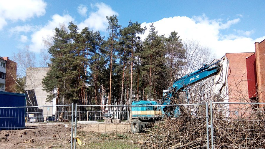 Реконструкция квартала Парко-Седулинос. Сколько стоит каждое срубленное дерево? - В Висагинасе