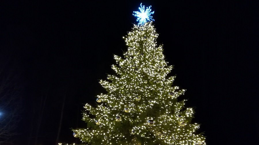 Елочка зажглась - дан старт подготовки к Рождеству и Новому году (Добавлено видео) - В Висагинасе