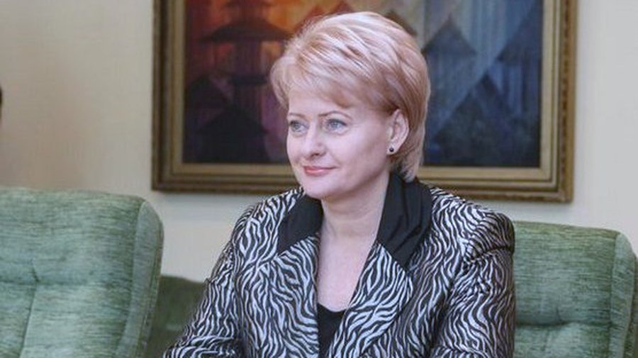 Виктор Ольжич: Задача кланов – не дать еврокомиссару стать президентом Литвы - Литва и страны Балтии